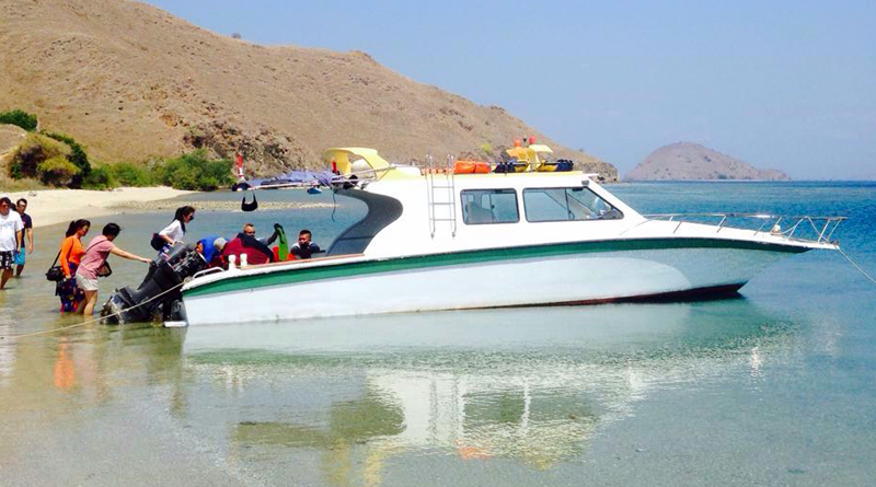 tour komodo dengan speed boat