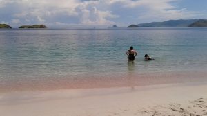 Pink Beach Komodo