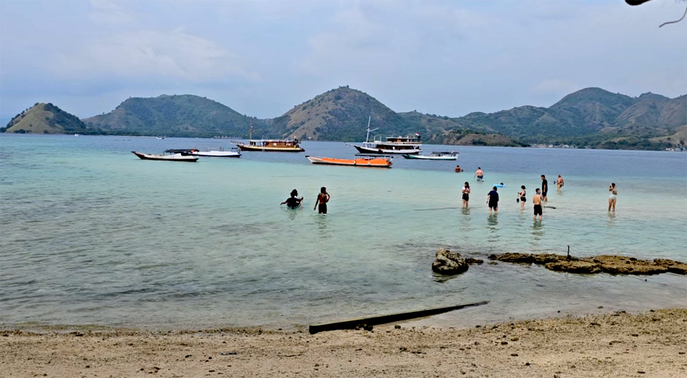 Berburu baby hiu di Pulau Kelor